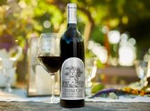 Silver Oak - Cabernet Sauvignon Alexander Valley 2021 (750ml) (750ml)