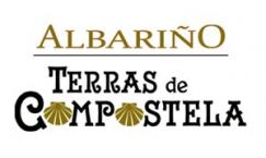 Terras De Compostella Albarino 2021 (750)